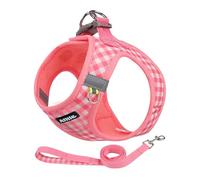 AIITLE Ensemble Harnais et Laisse pour Chien Easy Walk, Accessoire pour Animaux de Compagnie, Anti-Traction, Maille Respirante, Harnais d'extérieur pour Chiens de Taille Moyenne, pastèque L