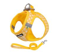 AIITLE Ensemble Harnais et Laisse pour Chien Easy Walk, Anti-Traction, Maille Respirante, Bandes réfléchissantes, Harnais d'extérieur réglable et Anti-évasion pour Chiens de Taille Moyenne, Jaune, L