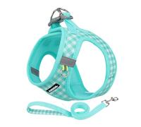 AIITLE Ensemble Harnais et Laisse pour Chien Easy Walk, Maille Respirante, Bandes réfléchissantes, Harnais d'extérieur pour Chiens de Taille Moyenne Turquoise L