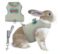 AIITLE Ensemble harnais et laisse pour lapin, harnais en maille douce et respirante avec joli nœud pour lapins, chatons, furets, petits cochons, chiots, fournitures de promenade vert olive, taille M
