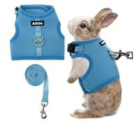 AIITLE Ensemble harnais et laisse respirants, sangles réglables et design de bande magique, gilet confortable pour chiots, chats, écureuils, rats, lapins, furets, promenades en plein air, bleu, taille