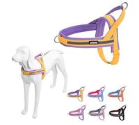 AIITLE Harnais anti-traction pour petit chien - Harnais doux pour animal de compagnie - Poitrine réglable, bande réfléchissante, anti-fugue et ajustement rapide - Jaune-violet - Taille S