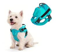 AIITLE Harnais de Chien Anti-Traction avec poignée, réfléchissant - Harnais pour Chiot réglable, Doux et Confortable, en Mesh Respirant pour Toutes Les météo, pour Petits et Moyens Chiens (Vert, M)
