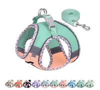 AIITLE Harnais pour Chien Anti-évasion, Gilet Anti-Traction avec Laisse, Maille Respirante, Bandes réfléchissantes, Harnais d'extérieur réglable pour Chiens de Taille Moyenne Turquoise-Rose M