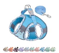 AIITLE Harnais pour Chien Anti-évasion, Gilet Anti-Traction avec Laisse, Maille Respirante, Bandes réfléchissantes, Harnais d'extérieur réglable pour Chiens de Taille Moyenne Bleu M