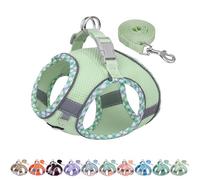 AIITLE Harnais pour Chien Anti-évasion, Gilet Anti-Traction avec Laisse, Maille Respirante, Bandes réfléchissantes, Harnais d'extérieur réglable pour Chiens de Taille Moyenne Sage M
