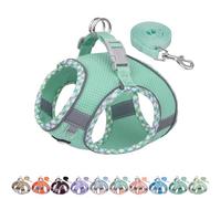 AIITLE Harnais pour Chien Anti-évasion, Gilet Anti-Traction avec Laisse, Maille Respirante, Bandes réfléchissantes, Harnais d'extérieur réglable pour Chiens de Taille Moyenne Turquoise M