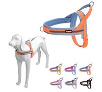 AIITLE Harnais pour Chien Anti-Traction avec poignée rembourrée Douce, Bande réfléchissante Anti-Fuite pour Ajuster Les Harnais pour Chiots, pour Chiens de très Petite Taille, Orange-Bleu, XXS