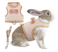 AIITLE Harnais réglable pour lapin avec nœud mignon - Gilet respirant, boucles anti-fuite, laisse réfléchissante pour entraînement, fêtes - Convient aux lapins, hamsters, mini animaux de compagnie
