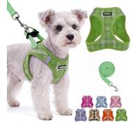 AIITLE Harnais Step-in pour chien avec laisse, gilet pour chiot Vert Taille | Filet d'air respirant, design avec fermeture , facile à mettre et à enlever, réfléchissant, sans traction lors de la