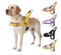 AIITLE Harnais Tactique Anti-évasion amélioré pour Chien, réglable au Cou et à la Poitrine, Harnais avec poignée rembourrée Souple, Facile à Dresser pour Les très Grandes Tailles Jaune-Violet XL