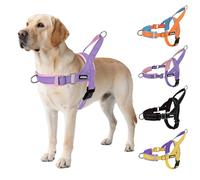 AIITLE Harnais Tactique Anti-évasion amélioré pour Chien, réglable au Cou et à la Poitrine, Harnais avec poignée rembourrée Souple, Facile à Dresser pour Les très Grandes Tailles Violet-Rose XL