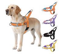 AIITLE Harnais Tactique Anti-évasion amélioré pour Chien, réglable au Cou et à la Poitrine, Harnais avec poignée rembourrée Souple, Facile à Dresser pour Les très Grandes Tailles Orange-Bleu XL