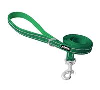 AIITLE Laisse réfléchissante pour Petits/Moyens Chiens 5ft - Vert | nylon avec poignée rembourrée pour promenade, dressage & course, anti-traction pour chiots et races petites/moyennes