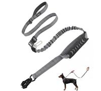 AIITLE Laisse Tactique télescopique améliorée avec absorbeur de Chocs, Gris | 4-6FT, robuste pour chiens moyens à grands qui tirent, double poignée et ceinture de sécurité auto, clip grenouille en métal