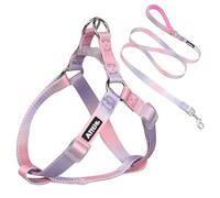 AIITLE Step-In Ensemble harnais et laisse pour chien - Harnais réglable anti-traction avec une laisse de 1,5 m - Double anneau en D - Facile à marcher, à courir et à entraîner pour chiens de grande