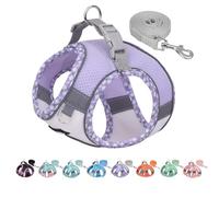 AIITLE XXS Ensemble harnais et laisse pour chien - Harnais respirant, réfléchissant, anti-étranglement pour petits chiens, pour chiots en forme de tasse de thé, utilisation en intérieur/extérieur