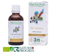 Ail Commun Bio - Circulation Teinture-Mère Allium Sativum 50 Ml - Herbiolys