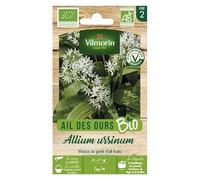 Vilmorin Ail Des Ours bio