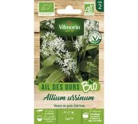 Ail Des Ours - Bio Vilmorin