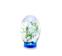 Ailan Aquarium Ecosphere en Verre pour Poissons Betta, éclairé par des LED