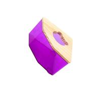 Ailan Baignoire Unique pour Hamster avec Couvercle en Bois, bac à Sable pour Chinchilla et Gerbille. Facile à Observer, Cette Baignoire Offre Un Espace de Bain Amusant et Pratique.