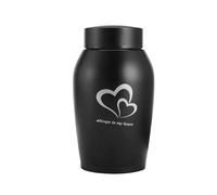 Ailan Coffret Souvenir, urne funéraire en Acier Inoxydable pour Animaux de Compagnie (Chiens, Chats, Chatons) - Solution Durable, Noir, 8.5 x 18.5 cm