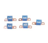 Ailan Kit Complet de fusibles midi 100 A Comprenant Un Mini-fusible Automobile Haute Performance pour Une Utilisation fiable dans Les Applications Marines et Automobiles. Support pour Bateau/Voiture.