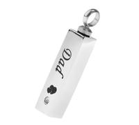 Ailan Pendentif souvenir, pendentif commémoratif de crémation, urne funéraire, cadeau pour faire vivre les souvenirs, peut être utilisé comme bijou de crémation, bijou souvenir, cercueil