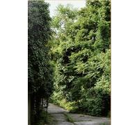 Ailanthus altissima Un inventaire photographique sur le développement spontané des ailantes dans l’espace urbain - Simon Boudvin - B42 Eds - broché - Monographie