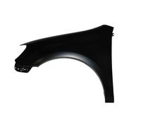 Aile avant gauche BLIC 6504-04-9534311P