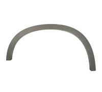 Aile - moulure / protection BLIC 5703-04-0082424P