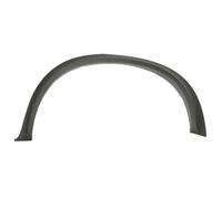 Aile - moulure / protection BLIC 5703-04-0096595KP