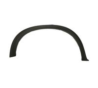 Aile - moulure / protection BLIC 5703-04-0096596KP