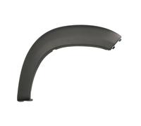 Aile - moulure / protection BLIC 5703-04-2098473P