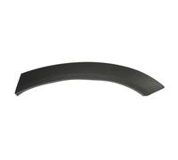 Aile - moulure / protection BLIC 5703-04-3184473P