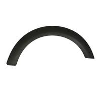 Aile - moulure / protection BLIC 5703-04-4001596P