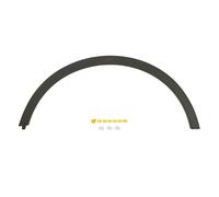 Aile - moulure / protection BLIC 5703-04-5029421Q