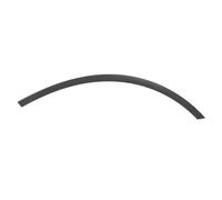 Aile - moulure / protection BLIC 5703-04-5721591P