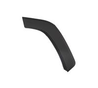 Aile - moulure / protection BLIC 5703-04-8186596P