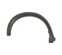 Aile - moulure / protection BLIC 5703-05-1307921P