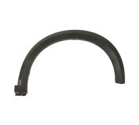 Aile - moulure / protection BLIC 5703-05-1307922P