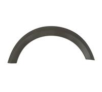 Aile - moulure / protection BLIC 5703-05-1307923P