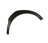 Aile - moulure / protection BLIC 5703-06-6740572P