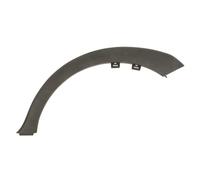 Aile - moulure / protection BLIC 5703-06-6740573P