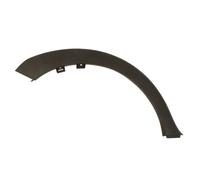 Aile - moulure / protection BLIC 5703-06-6740574P