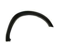 Aile - moulure / protection BLIC 5703-08-0935372P