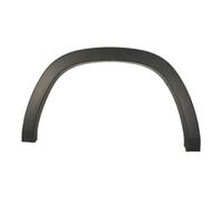 Aile - moulure / protection BLIC 5703-08-0936374P