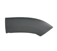 Aile - moulure / protection BLIC 5703-08-2098372P