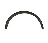 Aile - moulure / protection BLIC 5703-08-2596374P